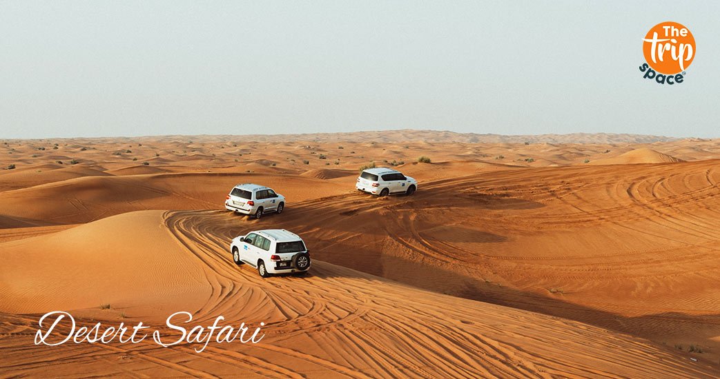thetripspace-travel-agency-uae-desert-safari.jpg