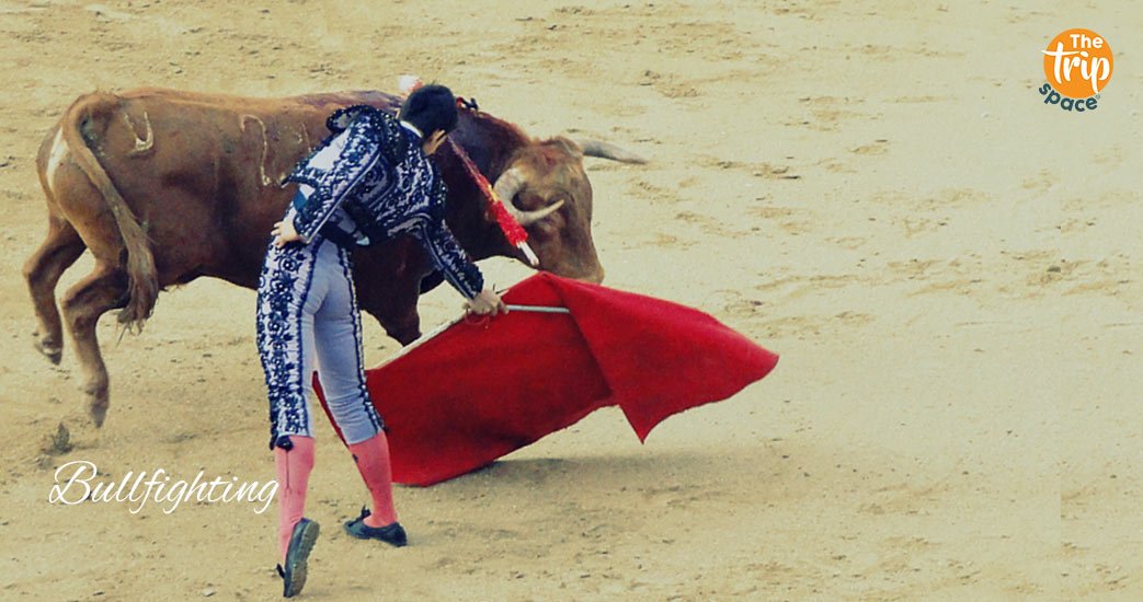 Bullfighting-season-spain-travel