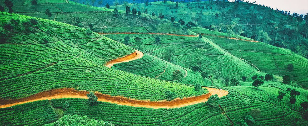 sri-lanka-tourist-places