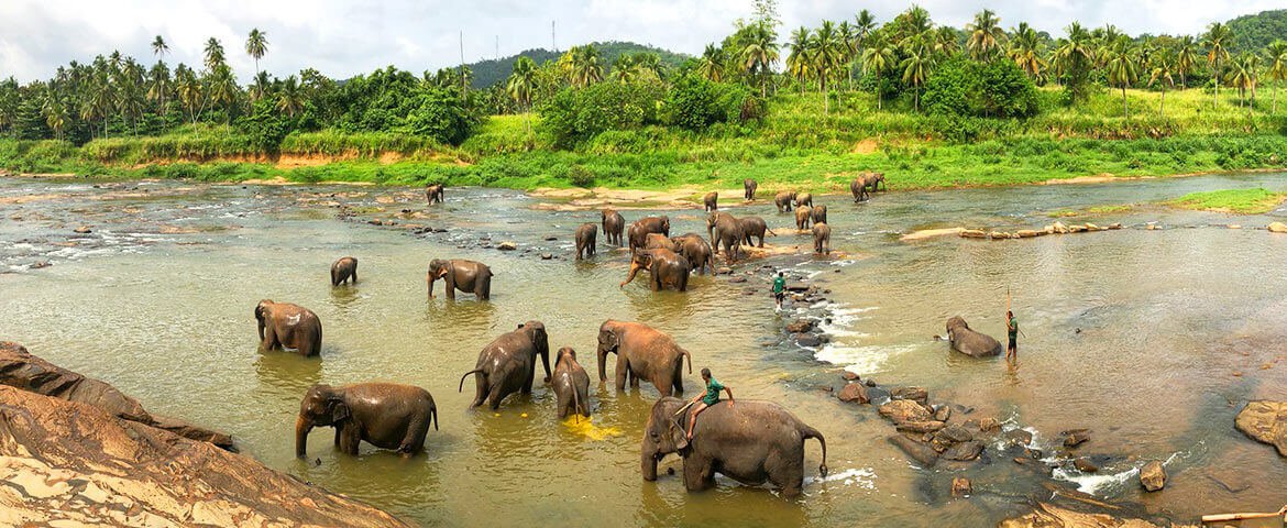 tour-plan-sri-lanka