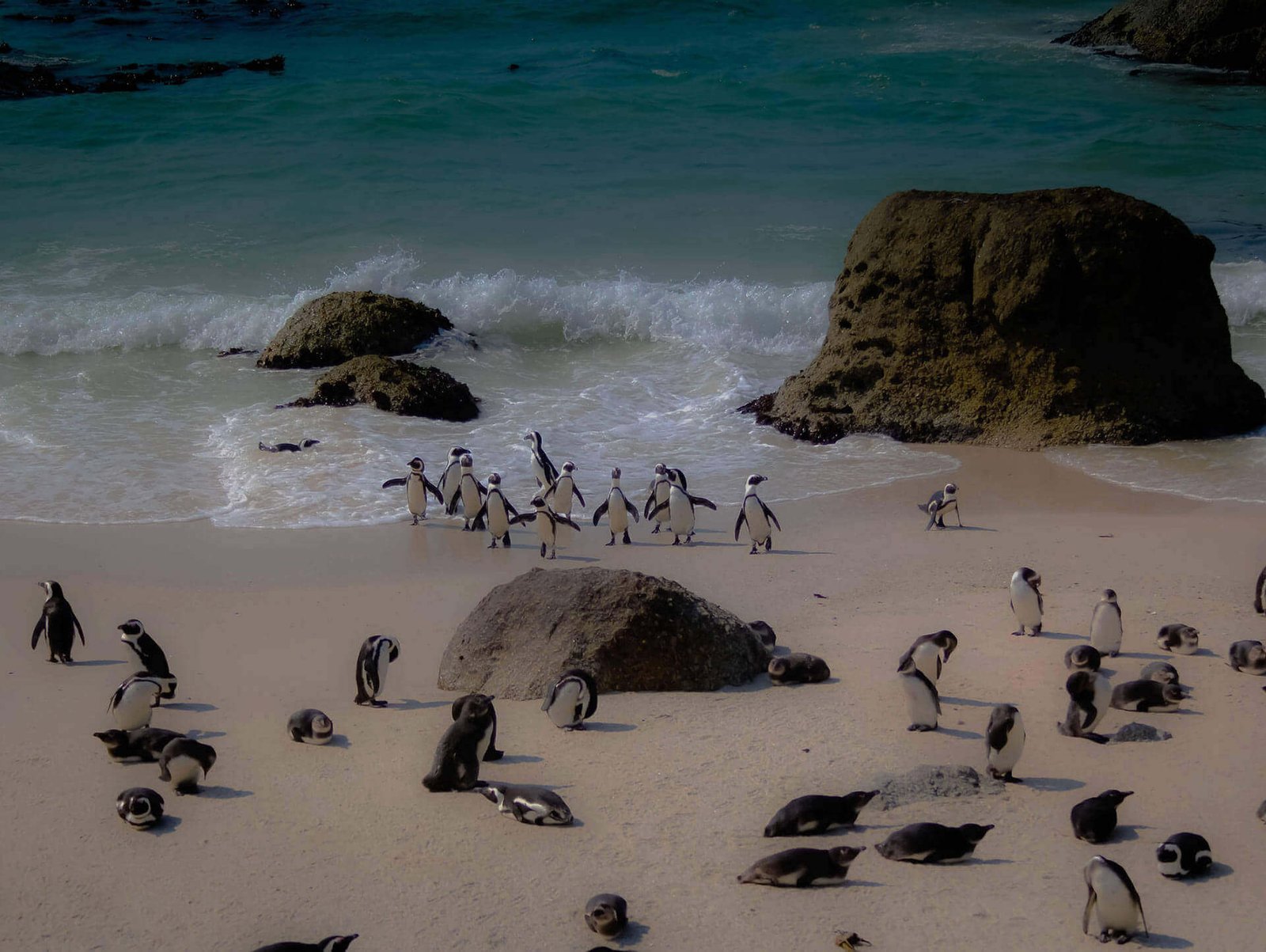 blog-Bg-Img-south-africa-tourist-places
